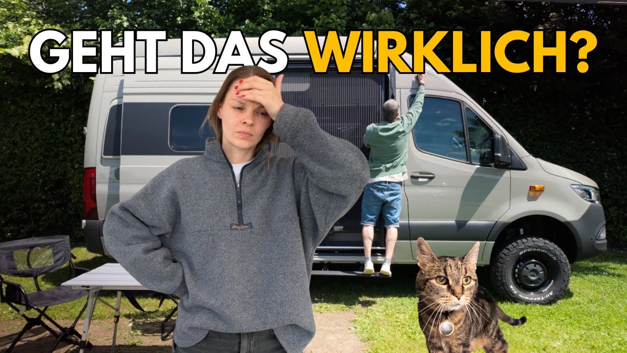 VANLIFE mit Katze  können wir unseren Kater wirklich im Camper mitnehmen?