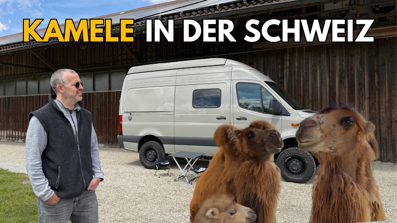 Warum waren wir so lang weg? Und wie gehts weiter? VANLIFE und CAMPING Update